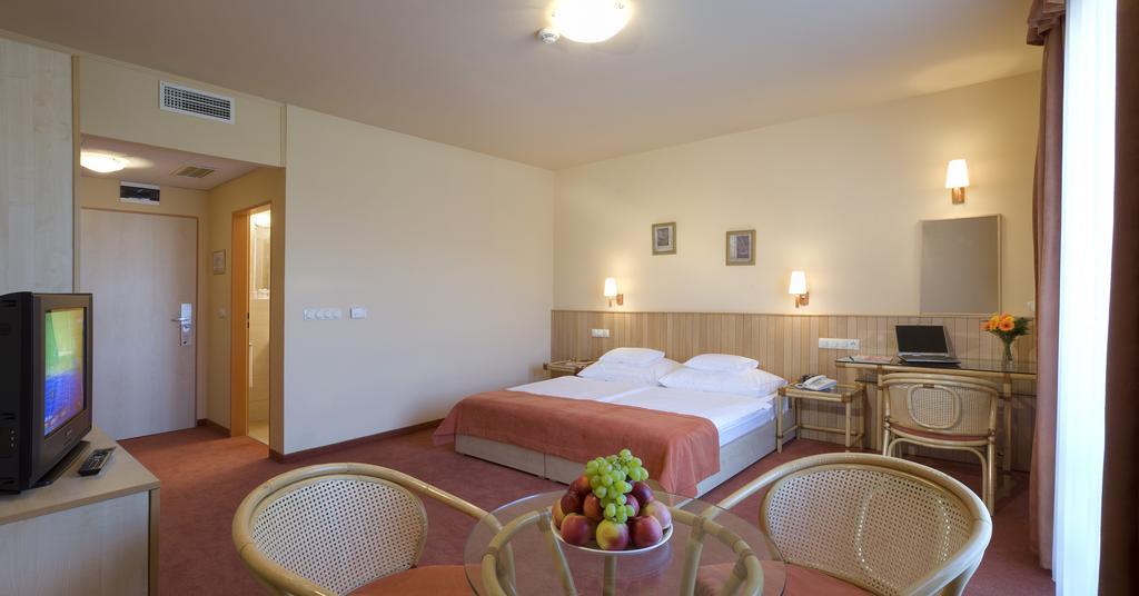 Martfu Hotel Thermal Spa Room photo